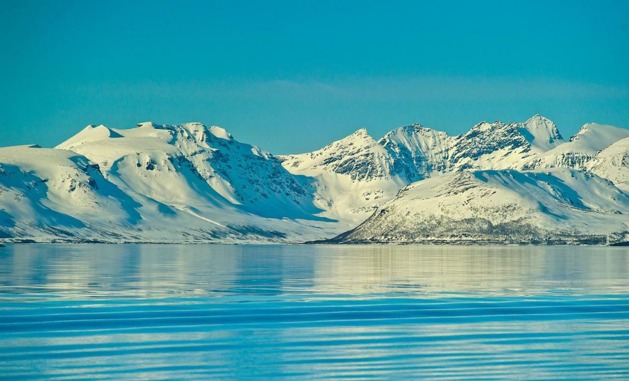 Lyngen Experience Apartments Nord-Lenangen Exteriör bild