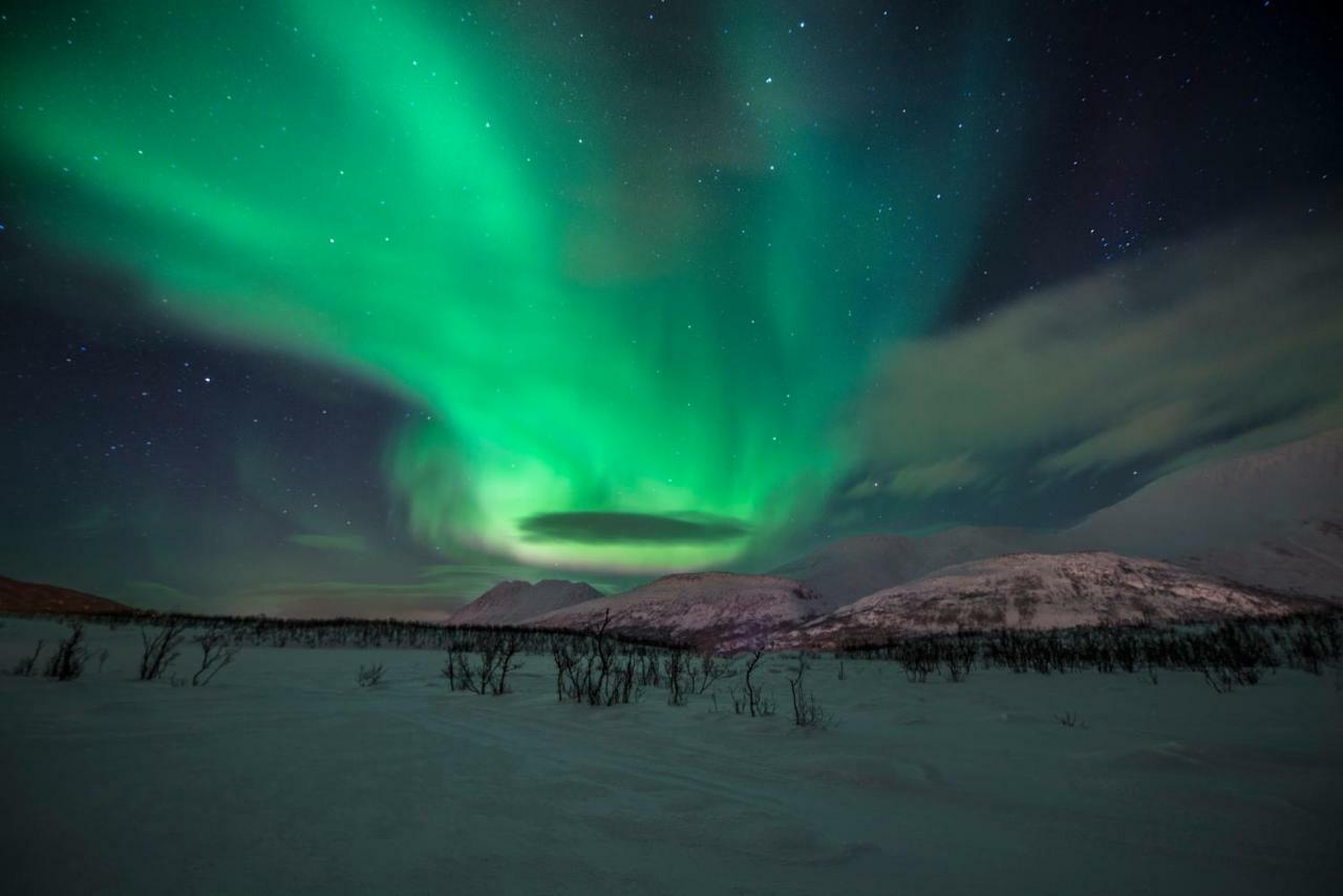 Lyngen Experience Apartments Nord-Lenangen Exteriör bild